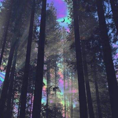 金沙乐娱场app下载手机app下载