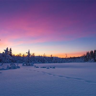 2023澳门资料大全正版下载手机版
