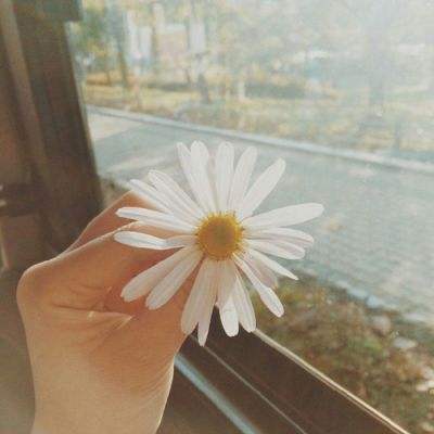 英雄联盟外围平台网址下载手机版